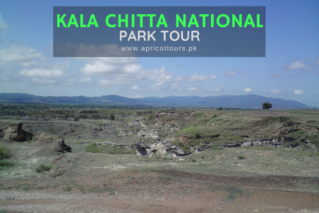 Kala Chitta National Park Tour