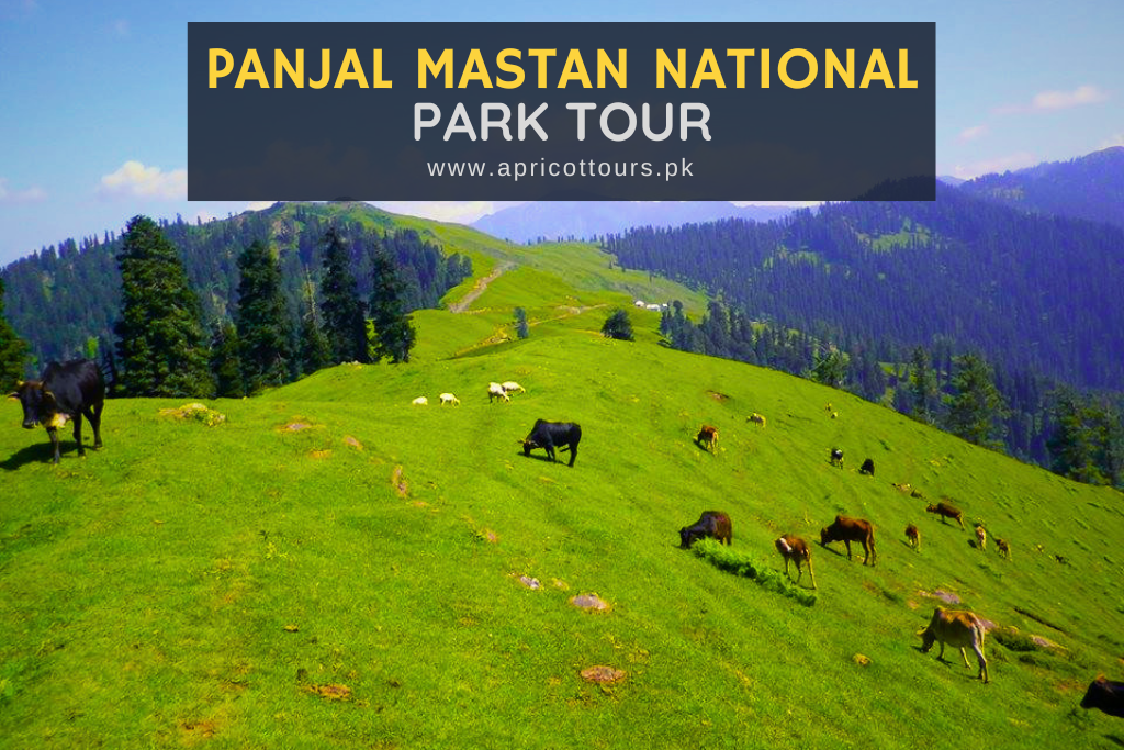Panjal Mastan National Park Tour