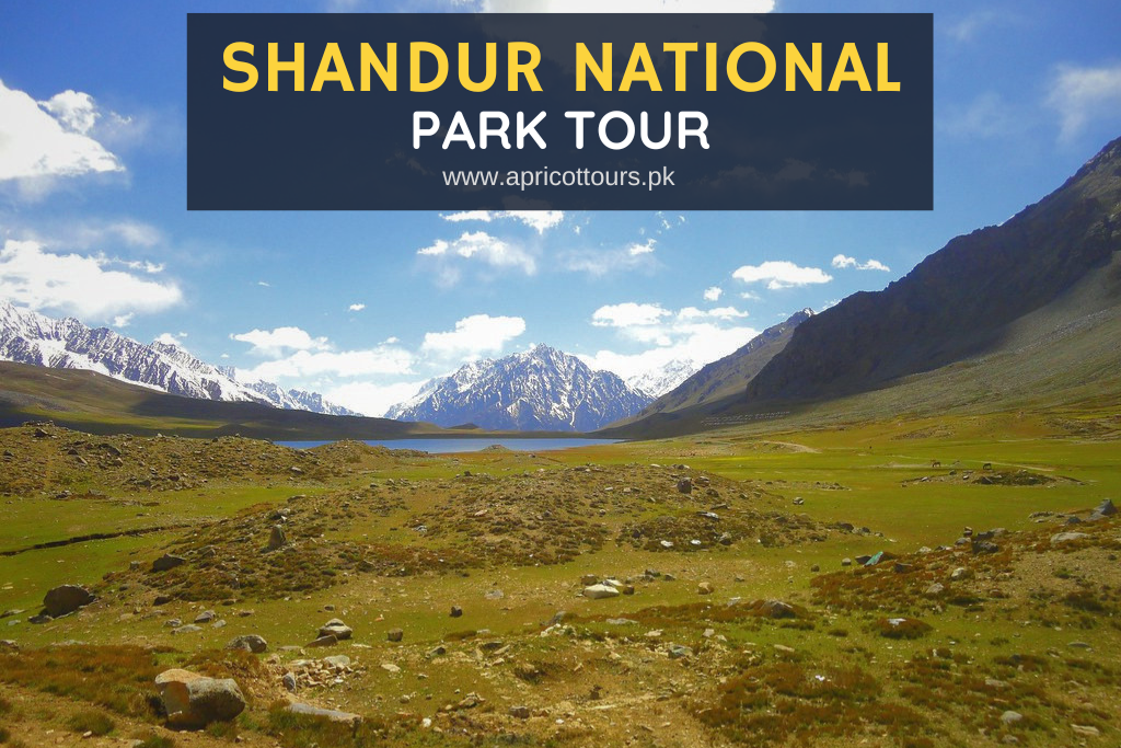 Shandur National Park Tour