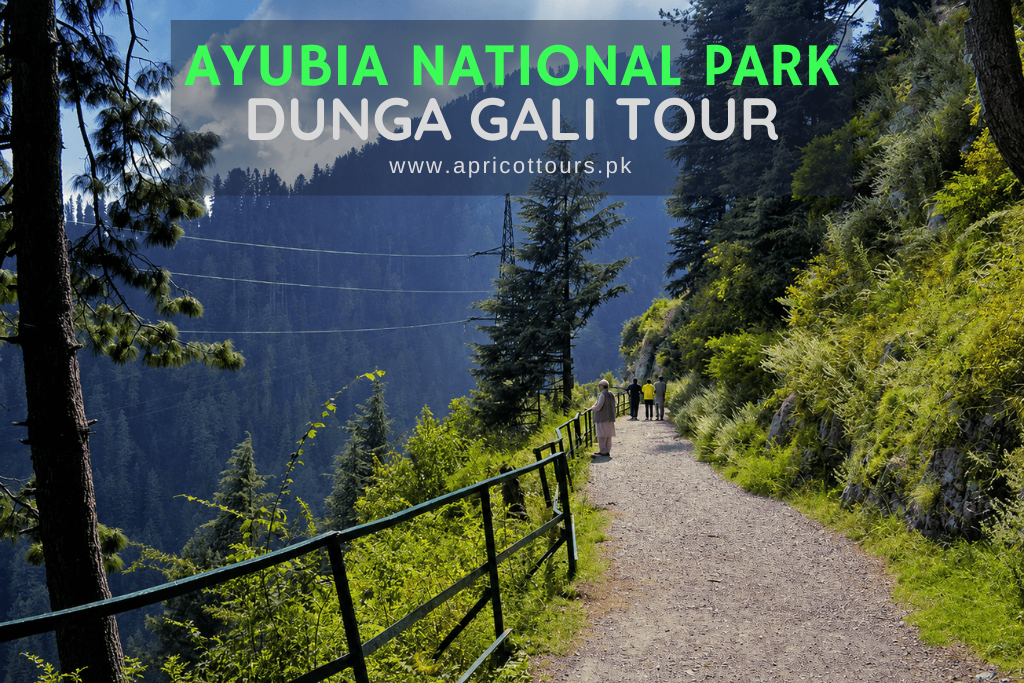 ayubia national park dunga gali tour