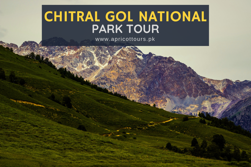 Chitral Gol National Park Tour