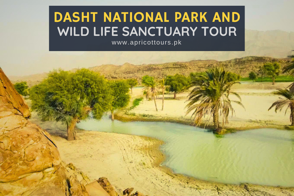 Dasht National Park and Wildlife Sanctuary Tour