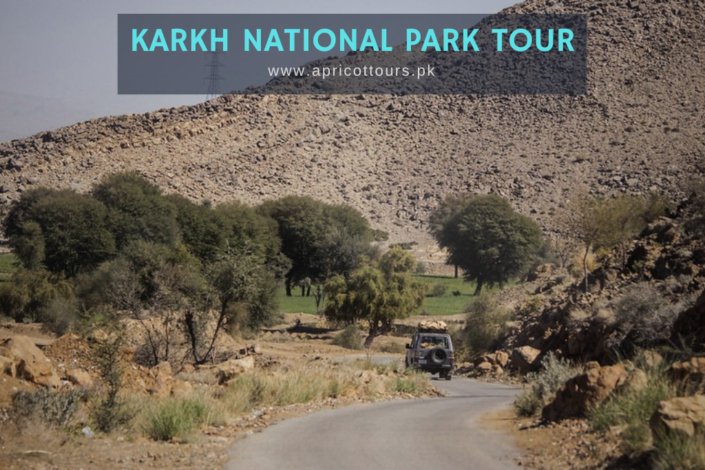 Karkh National Park Tour