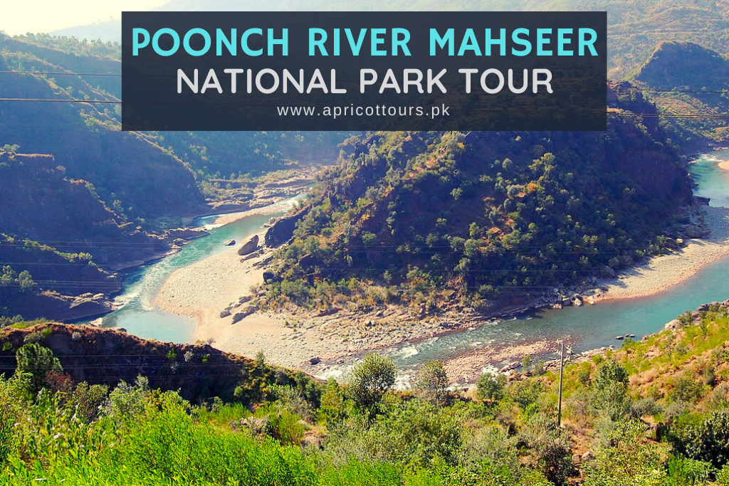 Poonch River Mahseer National Park Tour