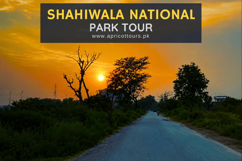 Shahiwala National Park Tour