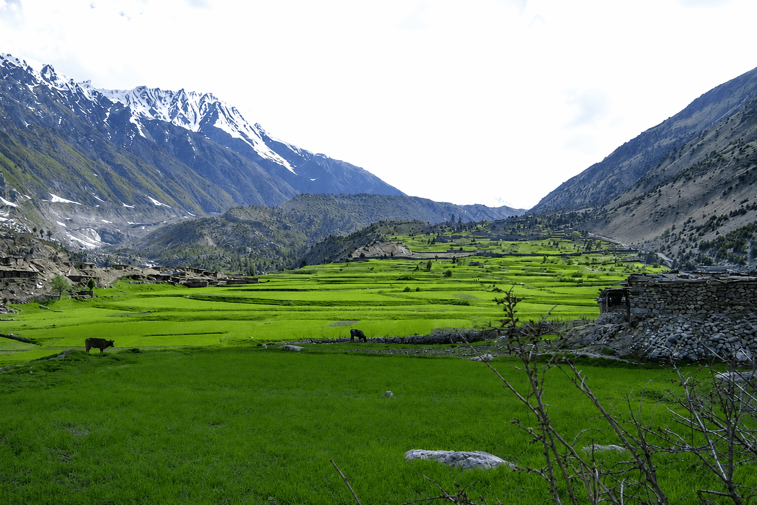 rupal valley tour