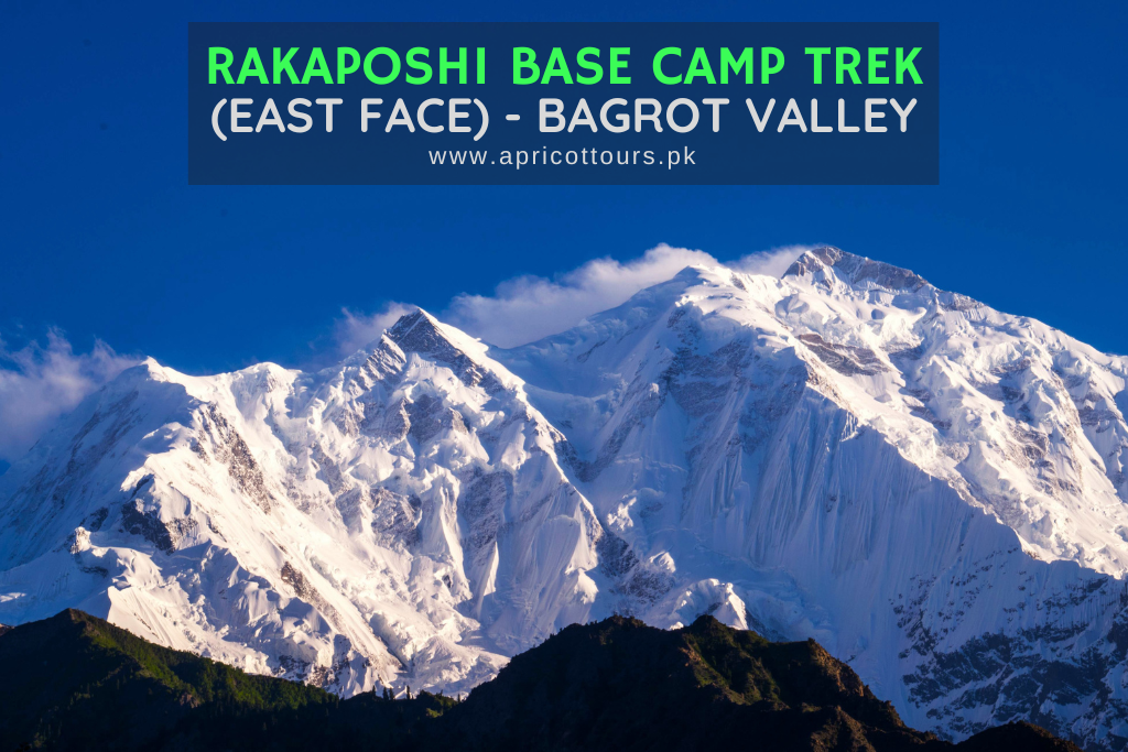rakaposhi base camp trek (east face)