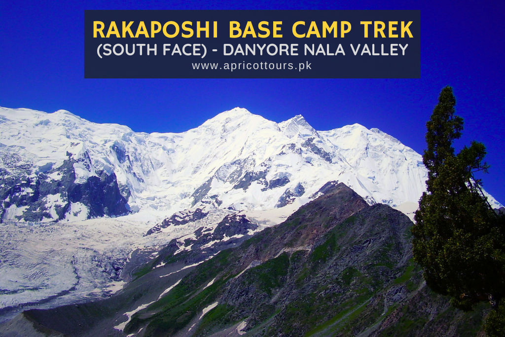 rakaposhi base camp trek (south face)