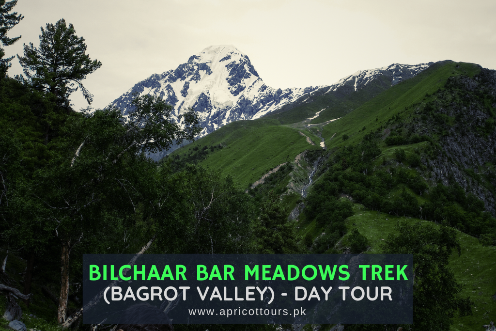 bilchaar bar meadows trek