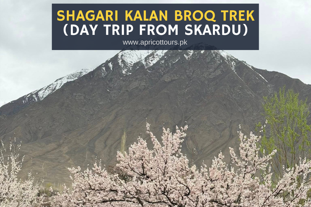 shagari kalan broq trek