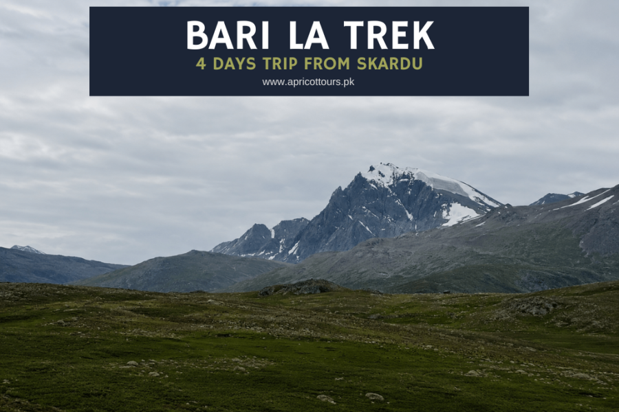 Bari La Trek
