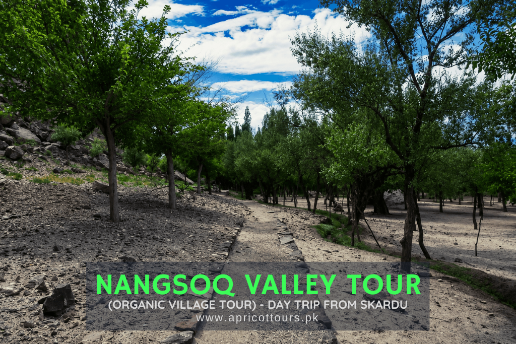 Nangsoq Valley Tour (Organic Village Tour)