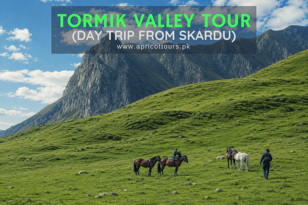 Tormik Valley Tour