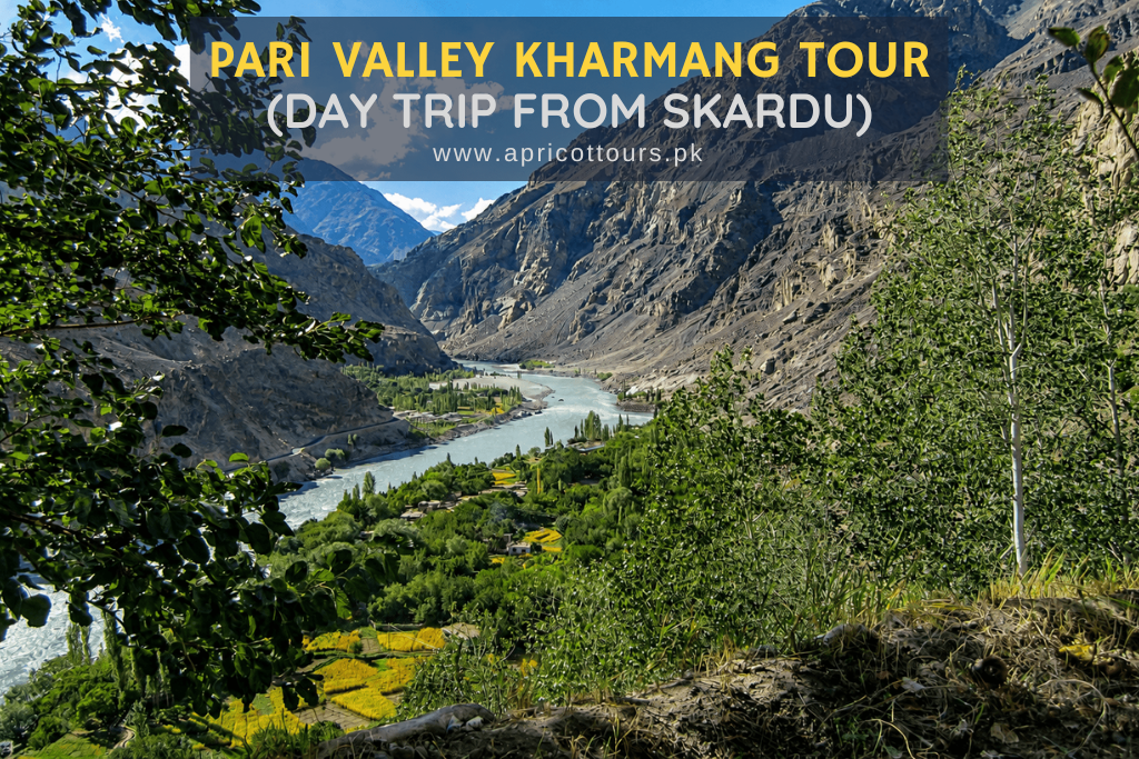 Pari Valley Kharmang Tour