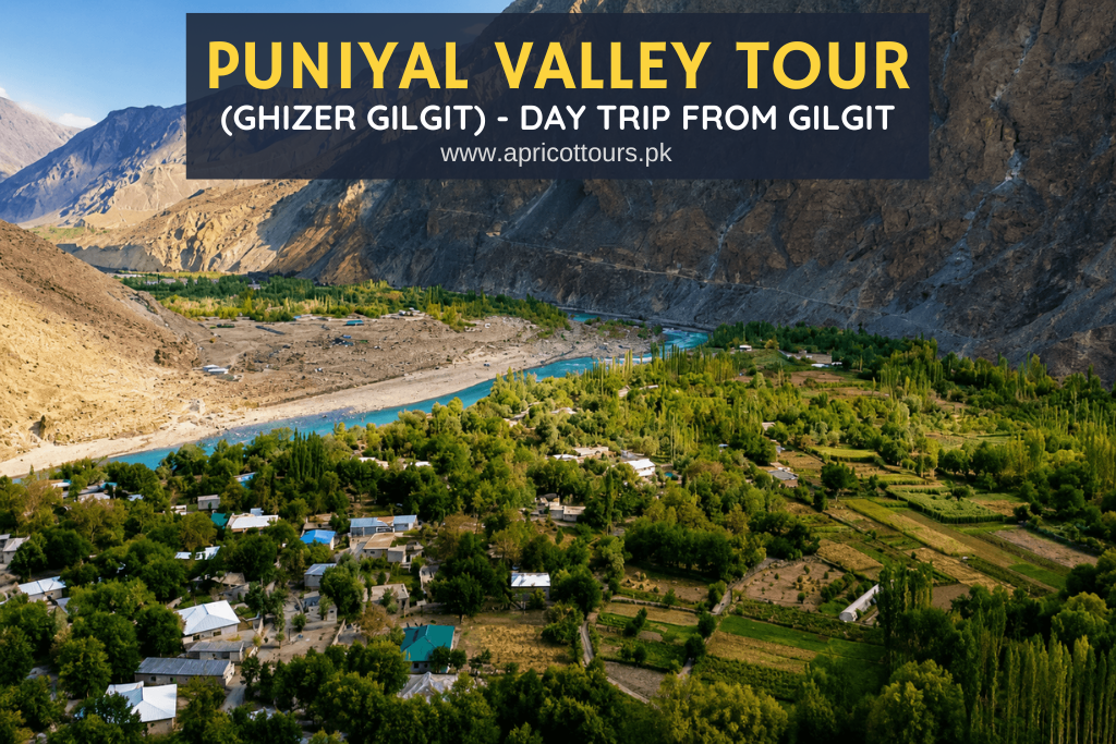 Puniyal Valley Tour (Ghizer Gilgit) - Day Trip