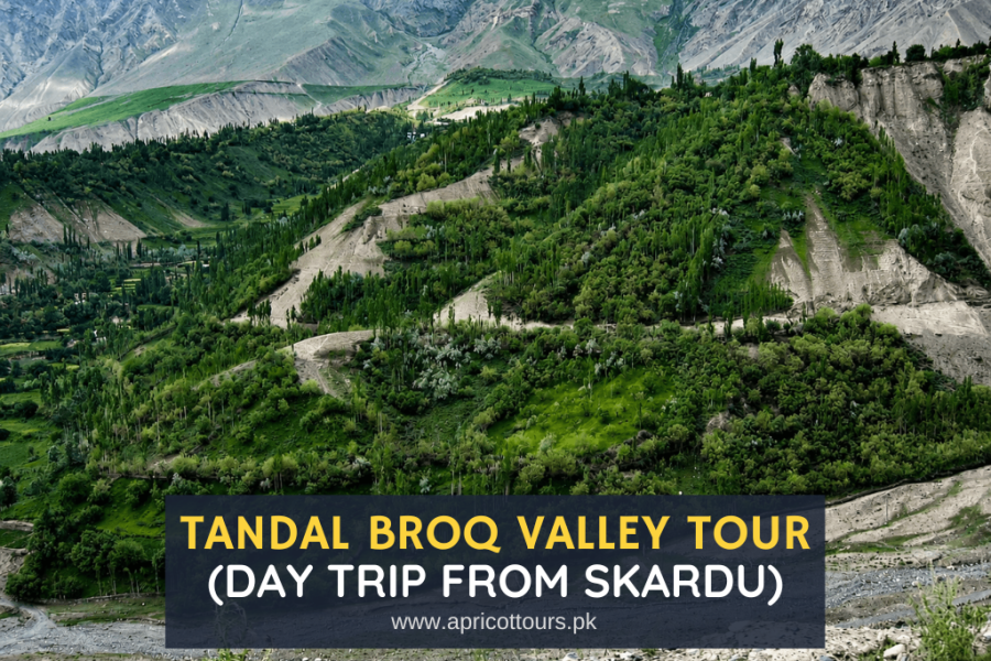 Tandal Broq Valley Tour