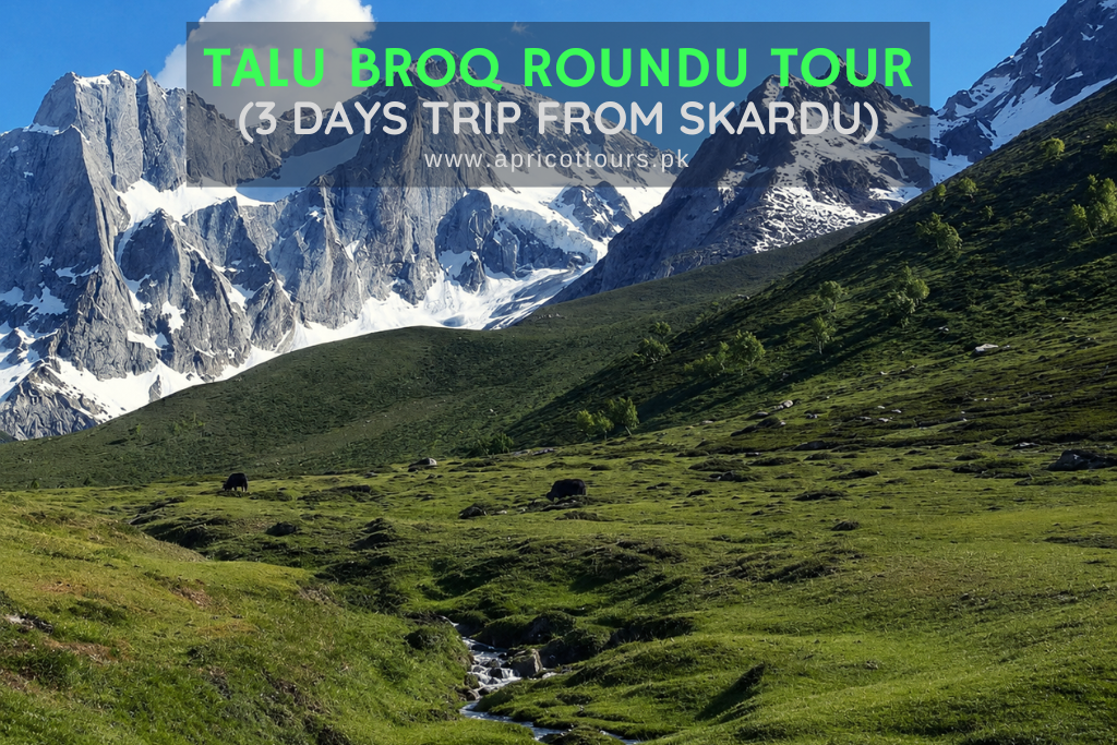 Talu Broq Roundu Tour