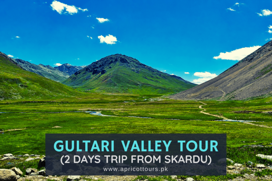 Gultari Valley Tour