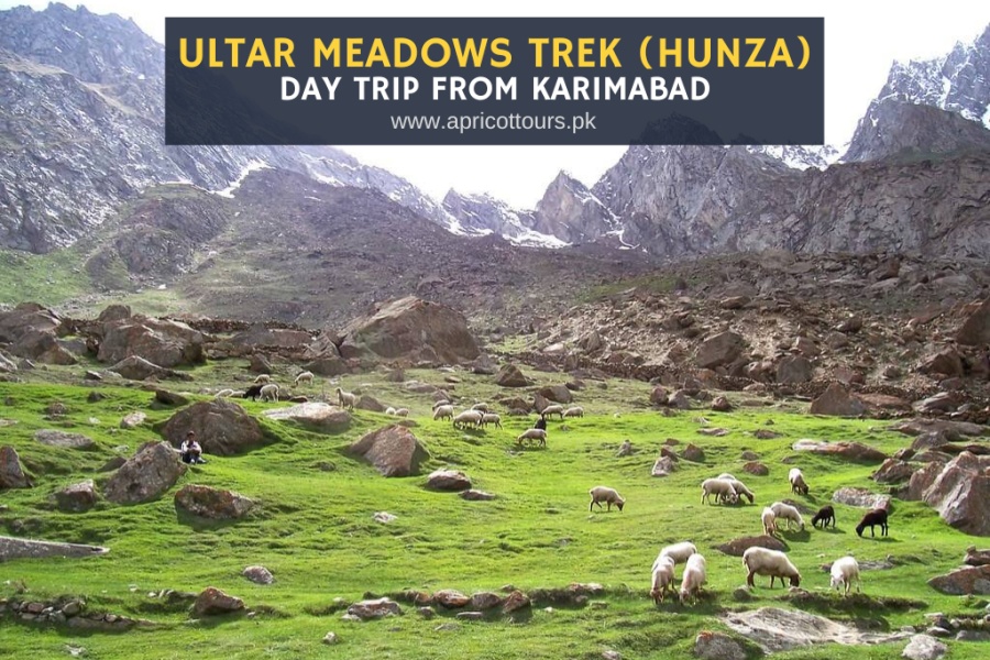 Ultar Meadows Trek