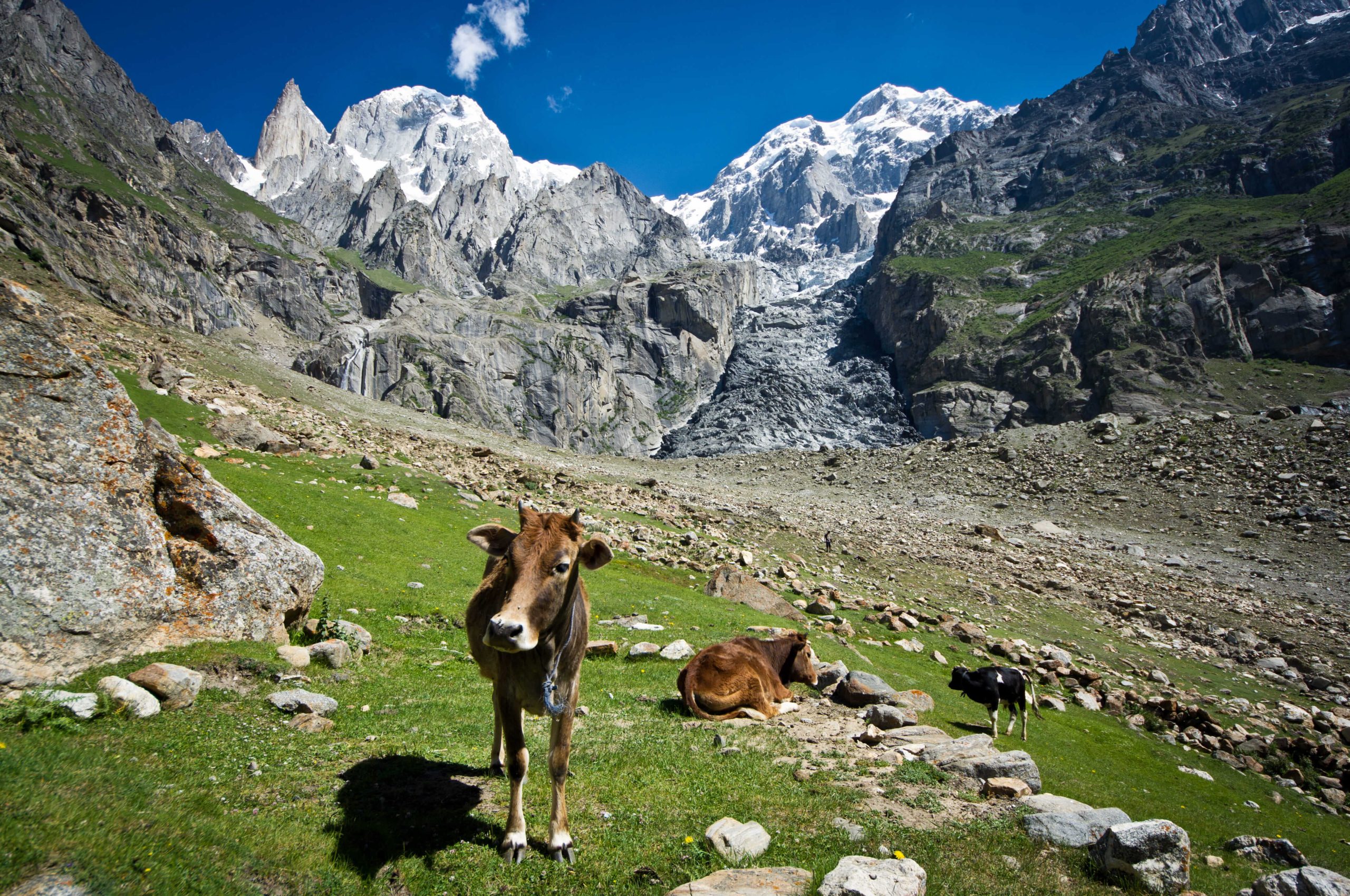 ultar meadows trek