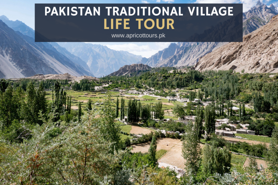 Pakistan Traditional Village Life Tour
