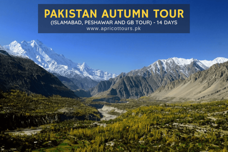 Pakistan Autumn Tour