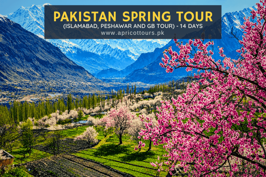 Pakistan Spring Tour