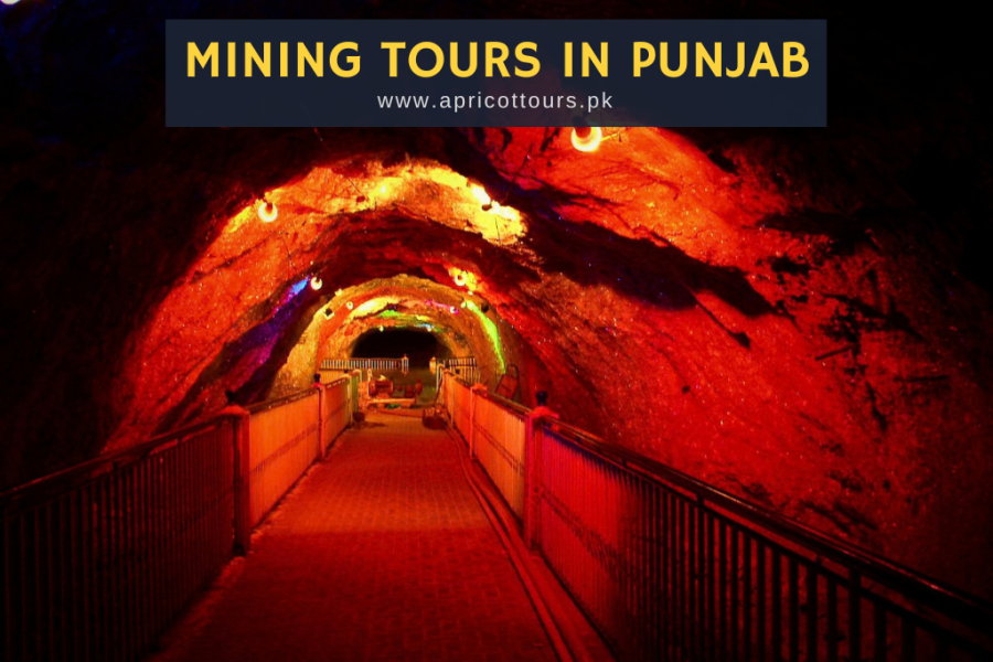Mining Tours in Punjab