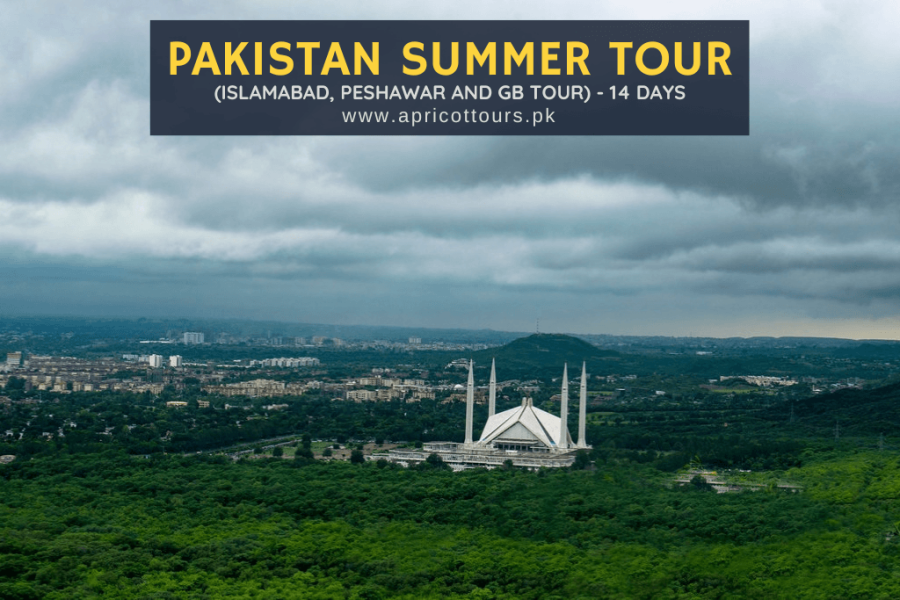Pakistan Summer Tour