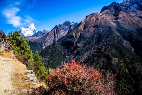 ama dablam base camp trek