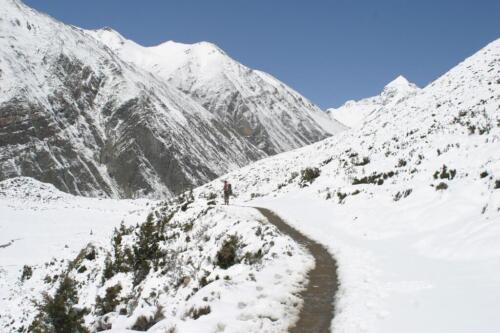 annapurna circuit trek