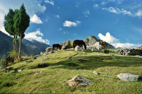 astore valley tours & short treks