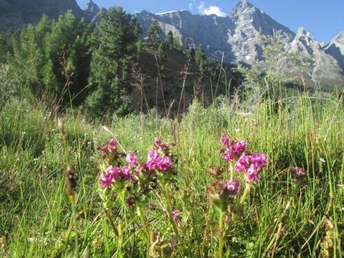 basho valley tour