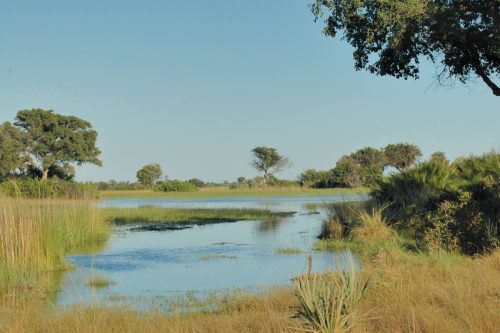 botswana tours