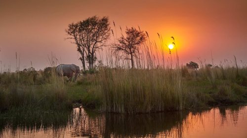 botswana tours