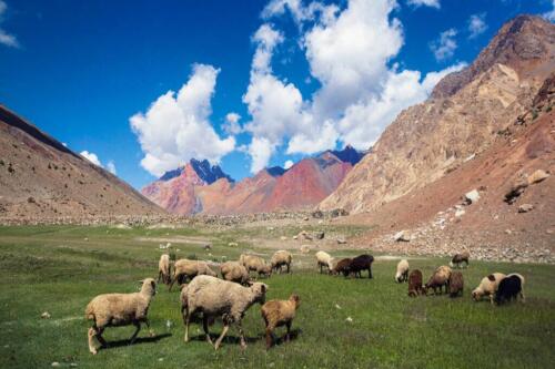 chapursan valley tour