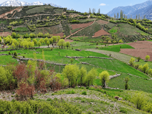 chitral valley tours