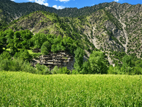 chitral valley tours