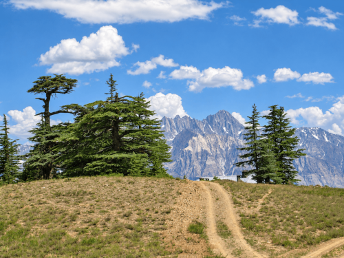 chitral valley tours