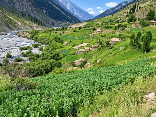 chitral valley tours