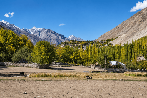 chitral valley tours