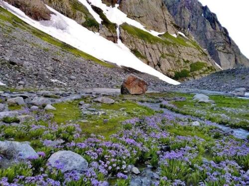 chitral to dir (thallo pass)