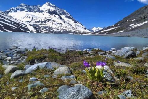 chitral to dir (thallo pass)