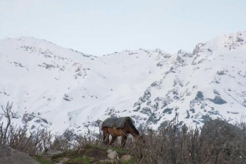 churko peak climbing