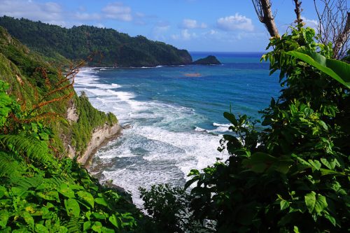 dominica tours