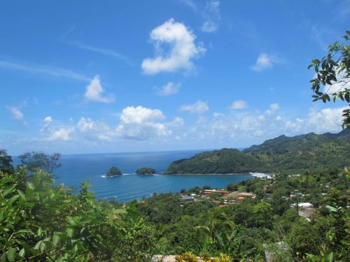 dominica tours