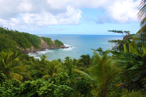 dominica tours