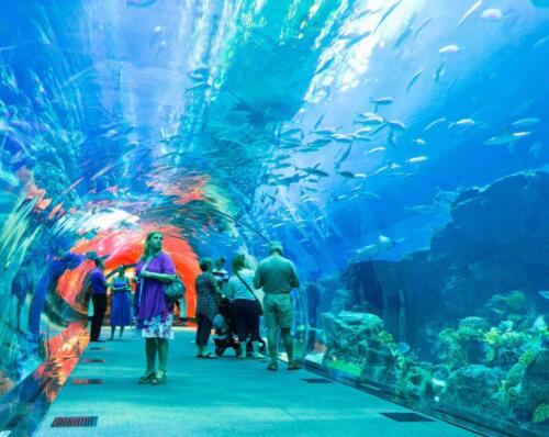 dubai tours