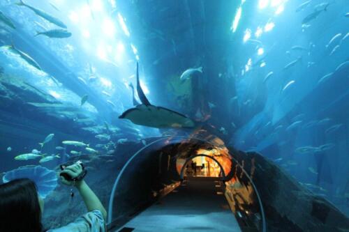 dubai tours