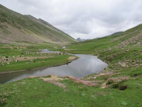 dudipatsar lake trek